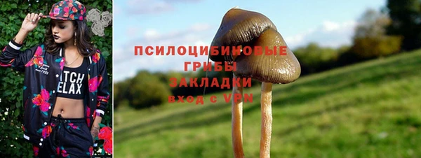 ешки Вязники